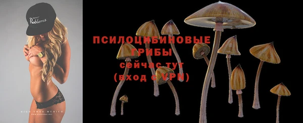 2c-b Аркадак