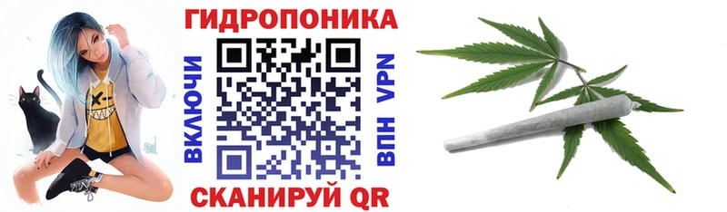 Каннабис индика Печоры